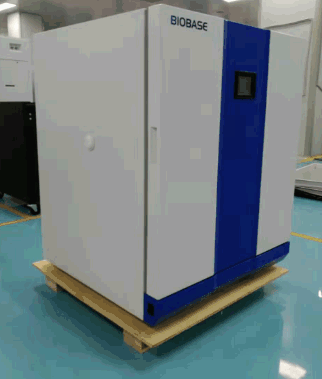博科電熱恒溫培養箱