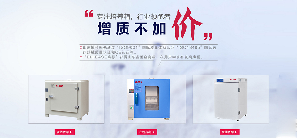 電熱恒溫培養箱