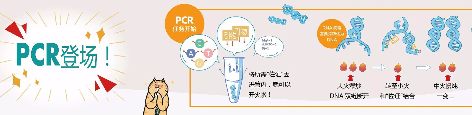 移動pcr方艙實驗室設備之pcr儀擴增核酸過程