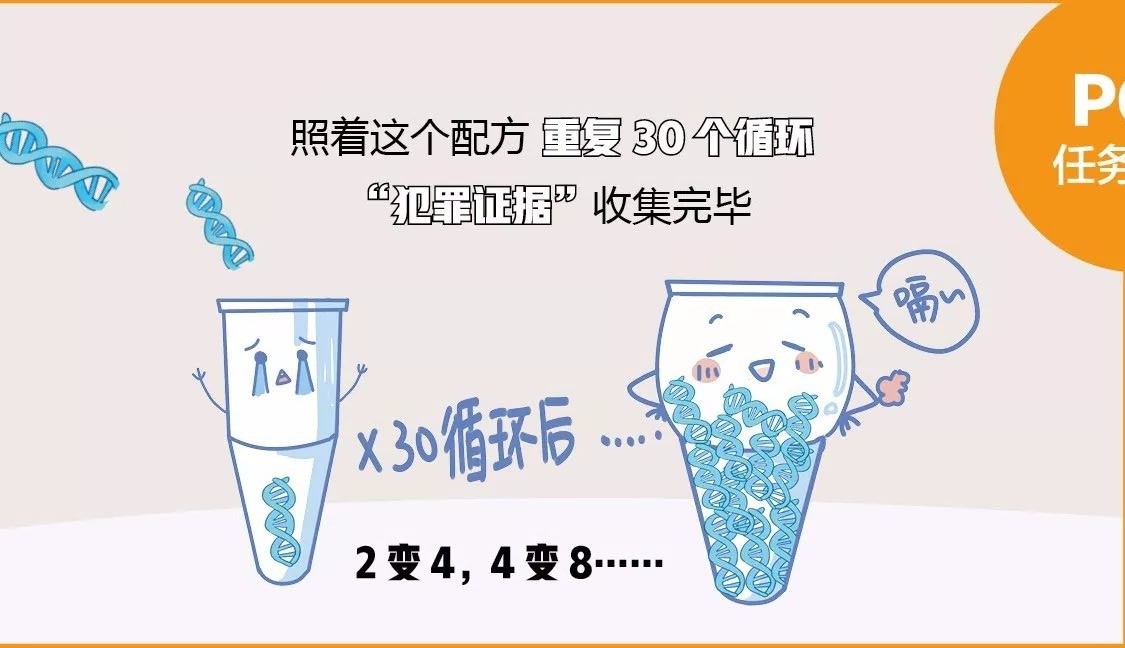 移動pcr方艙實驗室設備之pcr儀擴增和檢測