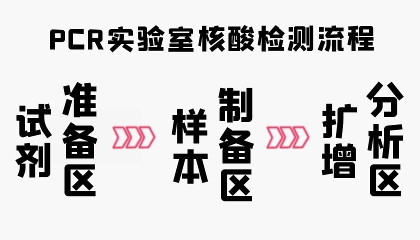 移動方艙PCR實驗室核酸操作流程